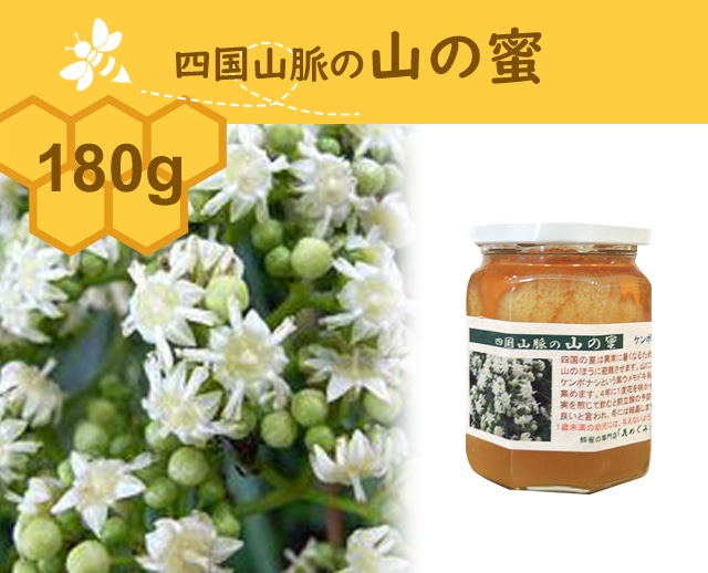 180g 四国山脈の山の蜜