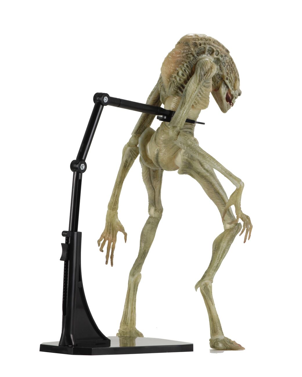 NECA ネカ　ニューボーン　エイリアン　ゼノモーフ ネカ エイリアン4 ニューボーン・エイリアン 7インチ アクション