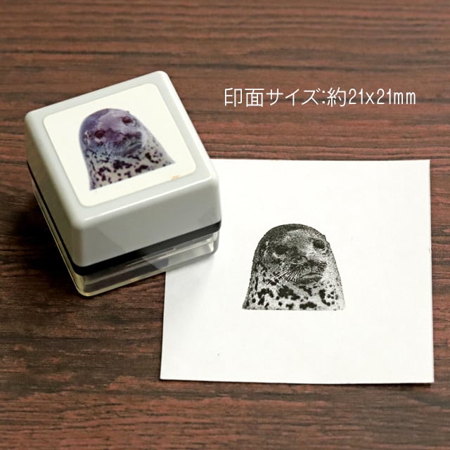リアルふぉとスタンプ アザラシ RP-062 | 浸透印スタンプ Yamahachi Stamp