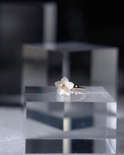 追憶◇white: ring