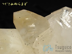 カルサイト 方解石 Calcite 産地不明 TM-0033