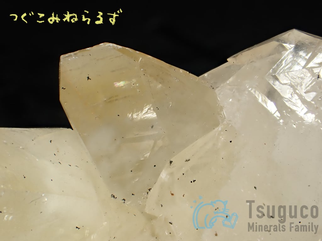 カルサイト 方解石 Calcite 産地不明 TM-0033
