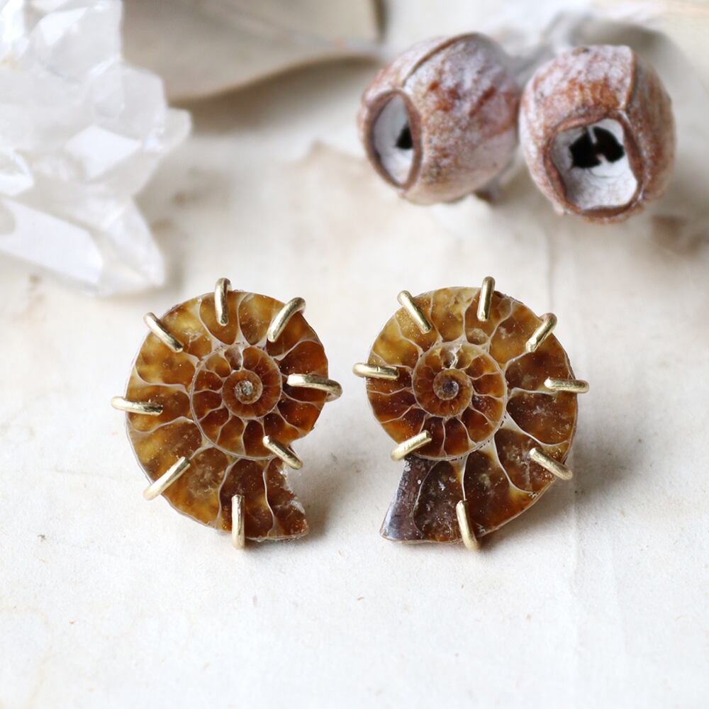 アンモナイト 化石 スライス一対