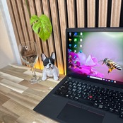 \ 公式ショップ限定価格❣️/ おすすめ《人気シリーズ》軽量【ThinkPad X13 Gen2】Ryzen5 13.3インチ SSD256GB ノートパソコン 安心サポート＆3ヶ月保証付き