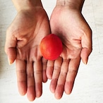 MIYAYOSHI No.03 No.06 No.09 small bottle 3P SET