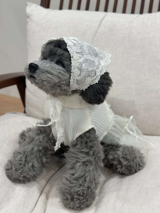 予約  【avely】 Lace Hair Kerchief (2color)