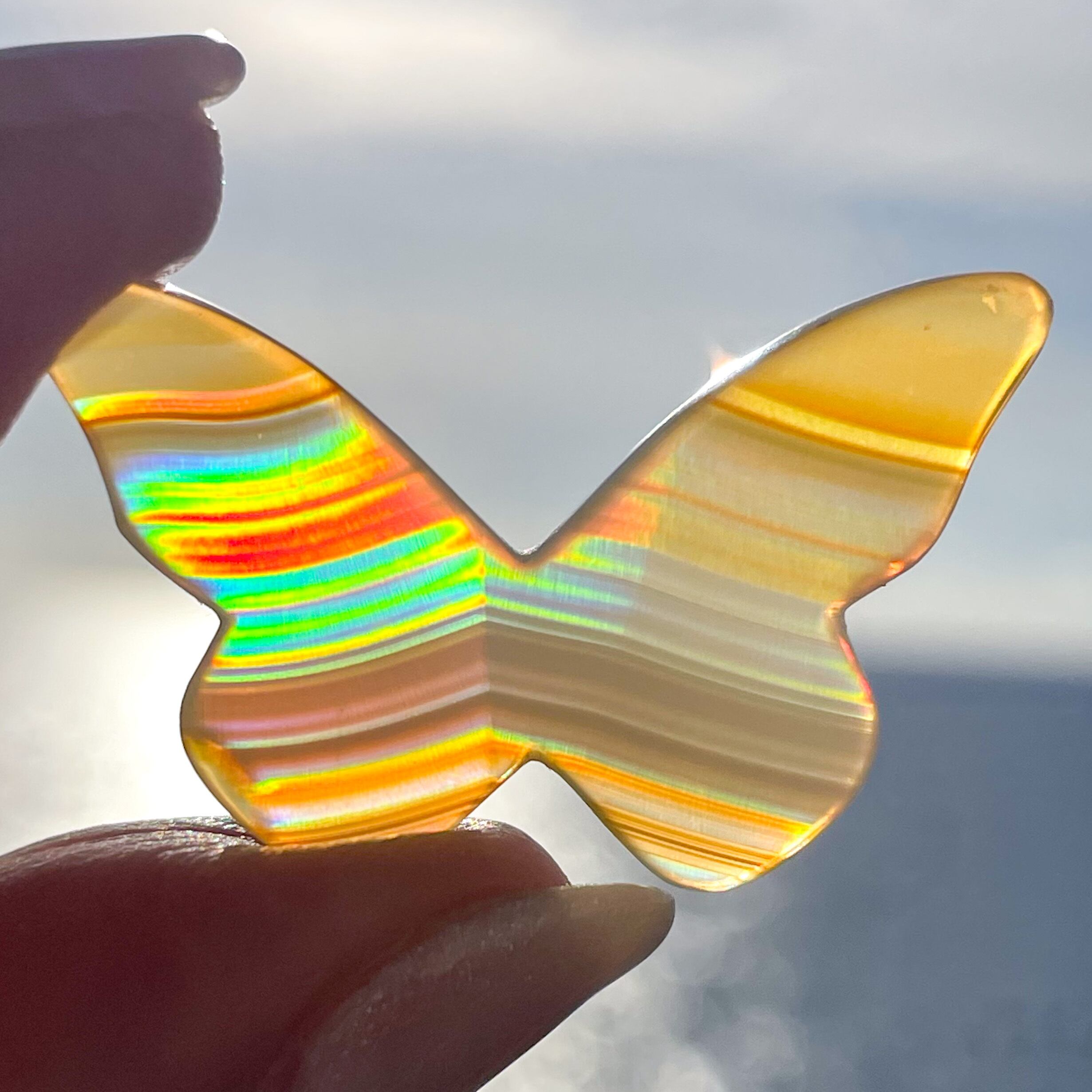 Iris Agate (Butterfly 10) ✧ イリスアゲート