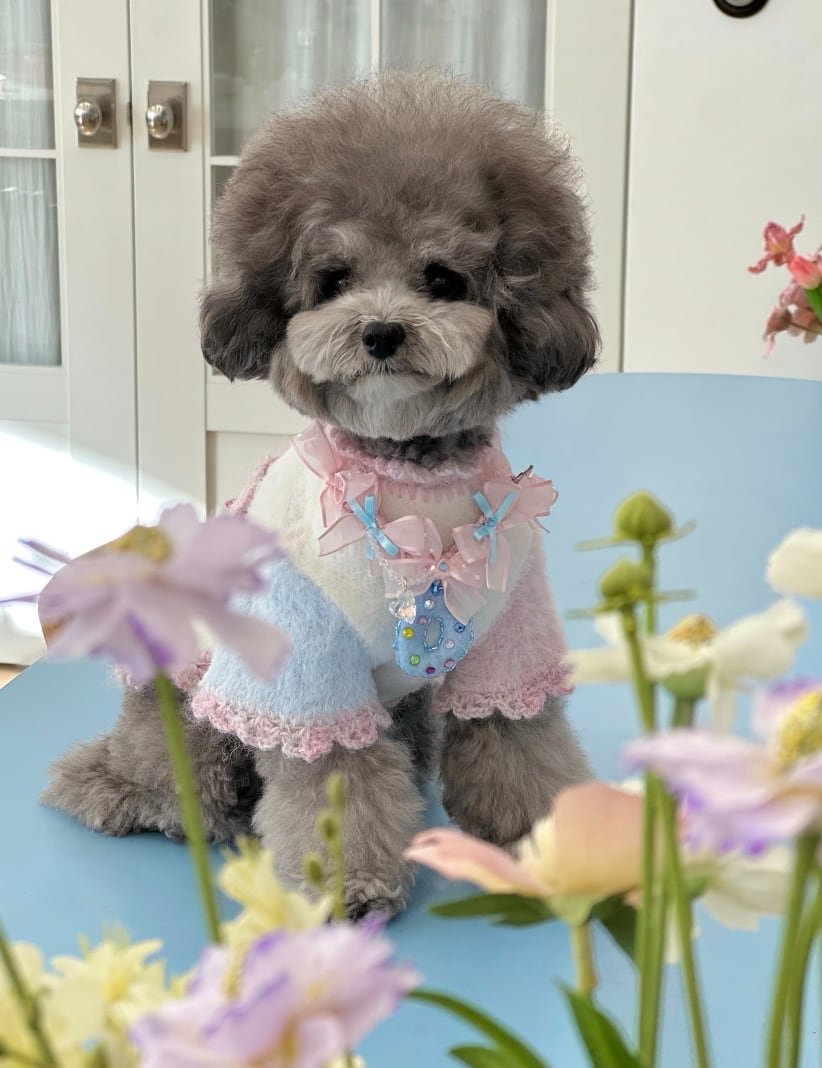 予約【lebooleboo】My Initial Necklace