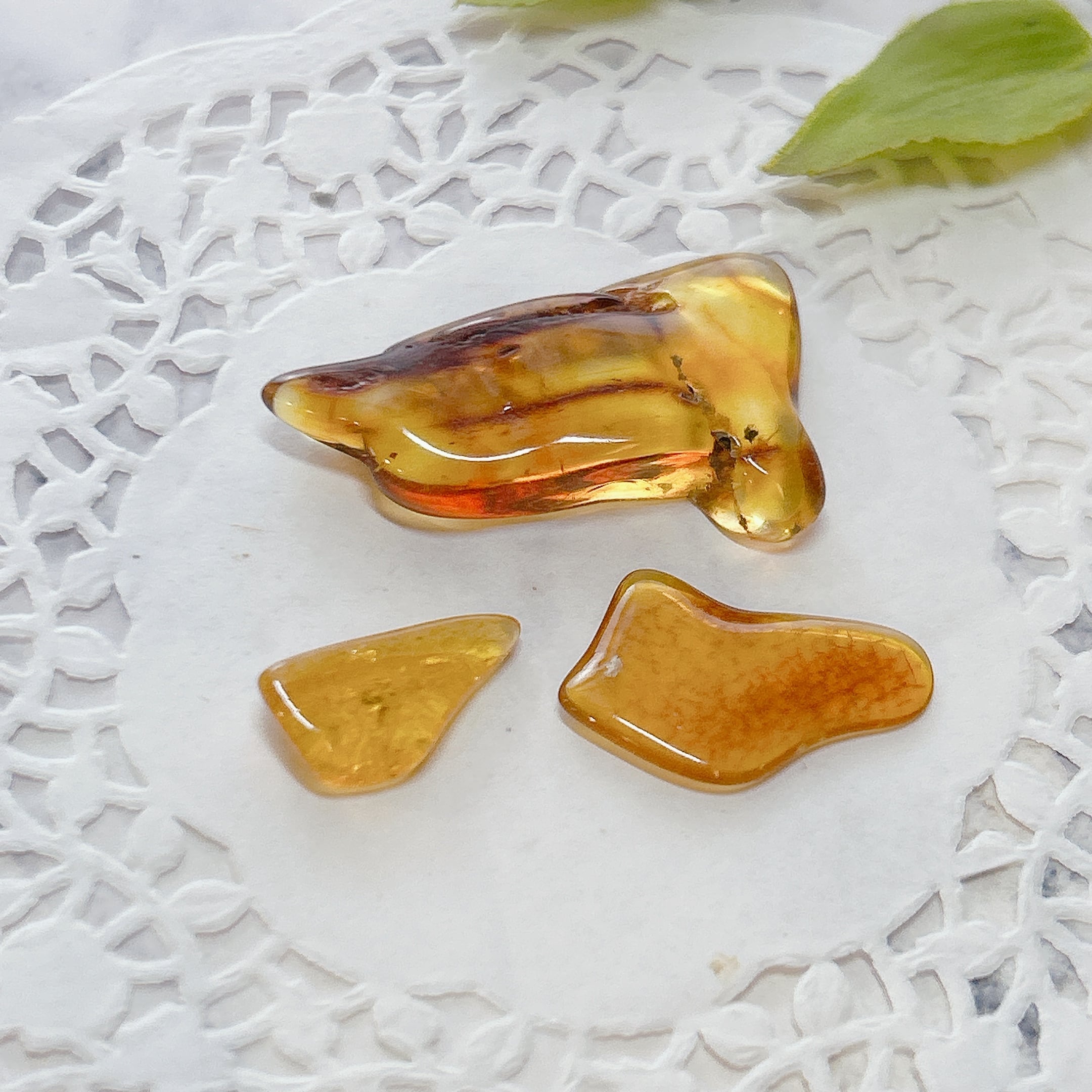 化石]琥珀・アンバー | クリスタル・ワールド御徒町店