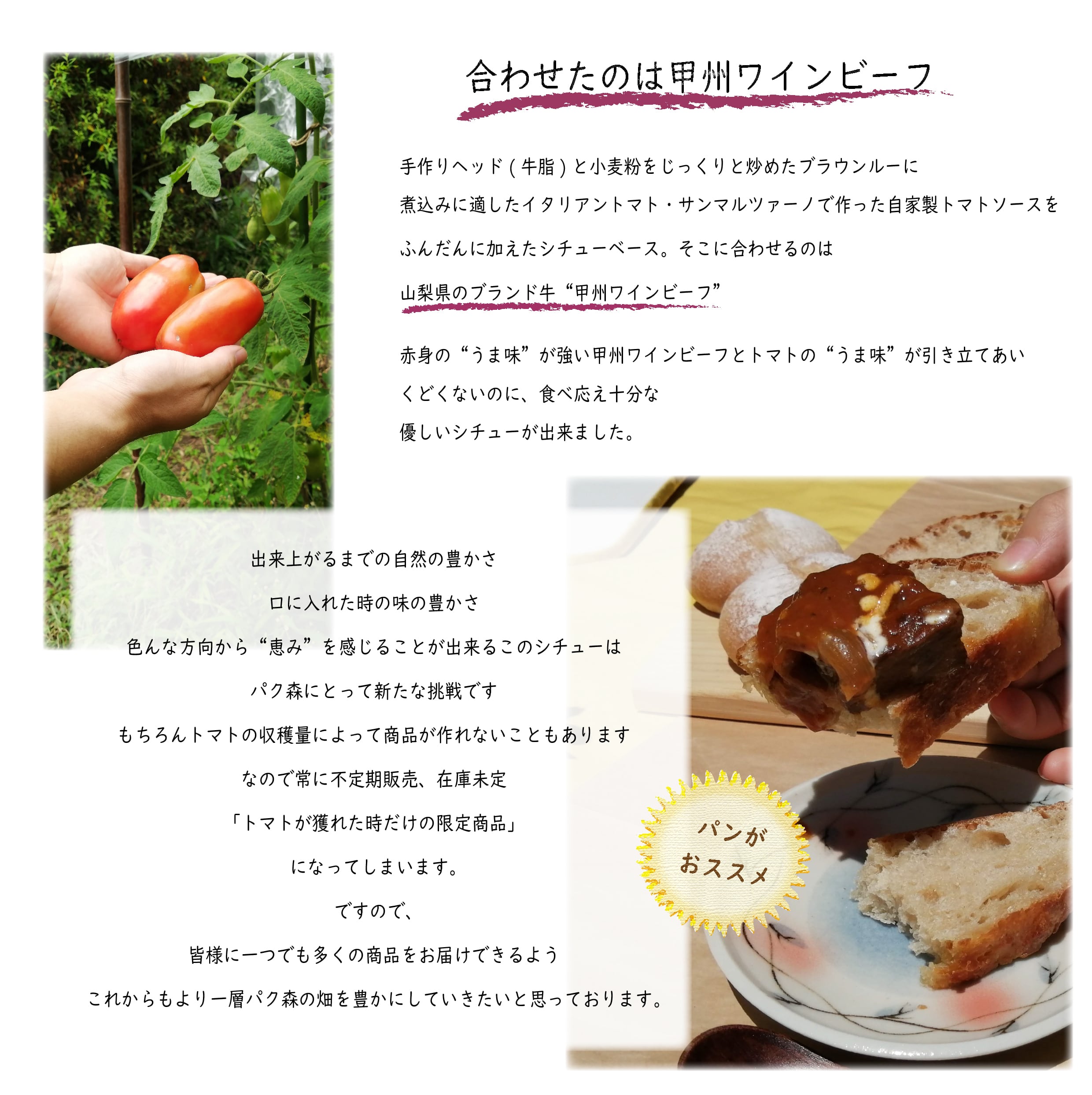 自家製トマトのビーフシチュー