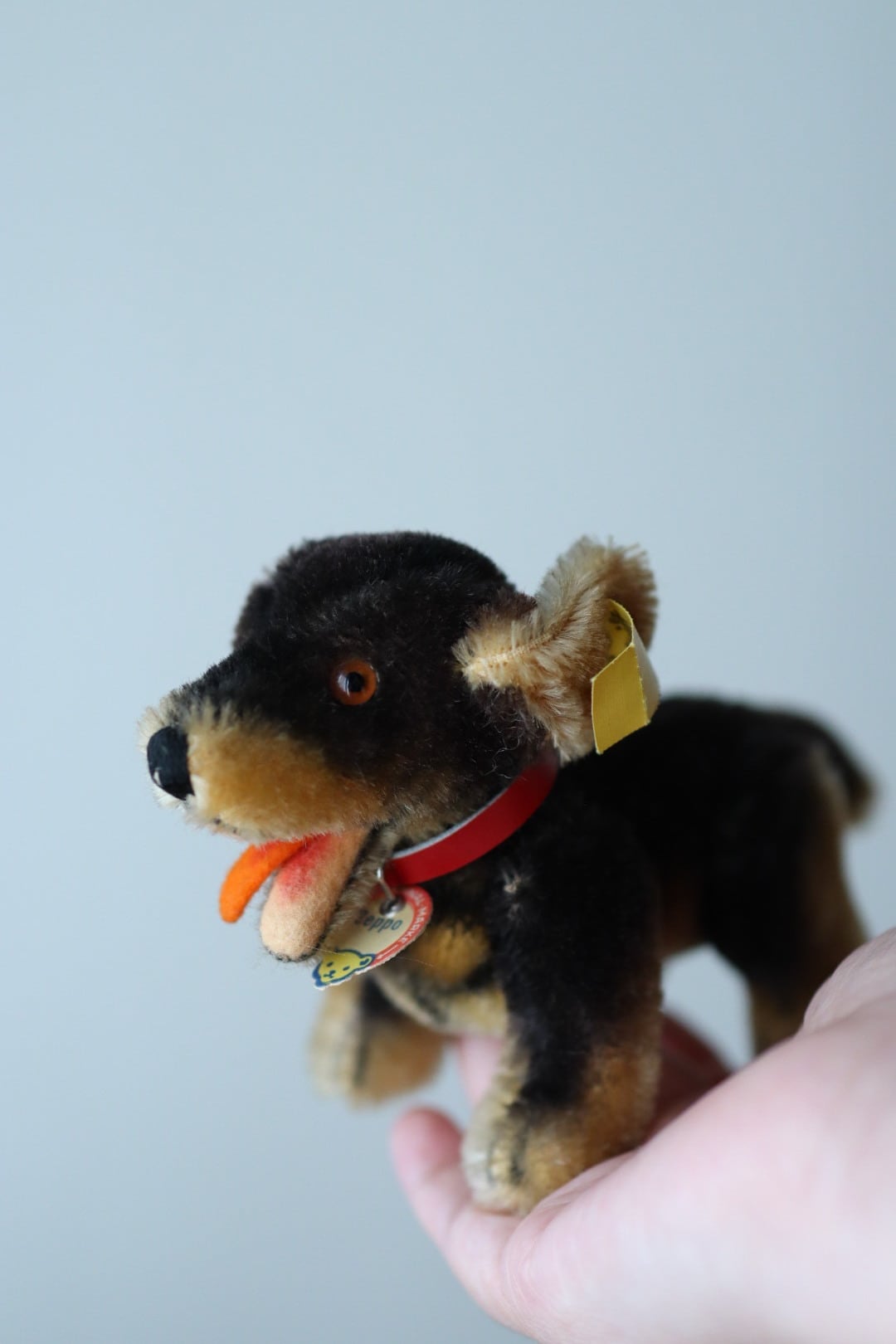 シュタイフ 犬 ダックスフンド Steiff Beppo 10㎝ ヴィンテージ ぬいぐるみ