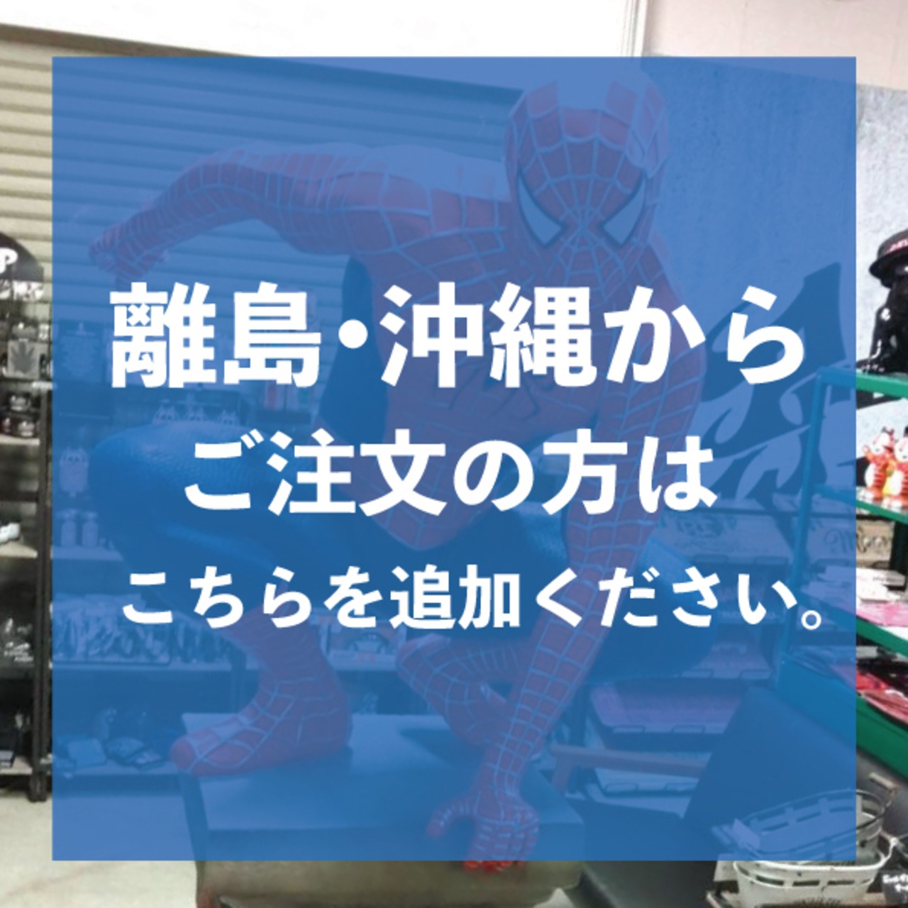 【沖縄・離島】送料・中継料の追加