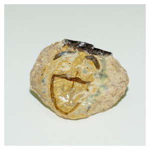 アラキドン　笑うケーキ皿としての像