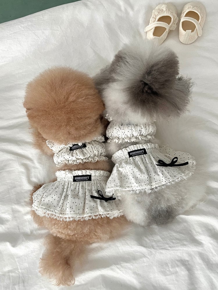 即納】Dot Frill Bustier （Ivory SM） / MININUT | 韓国ドッグ