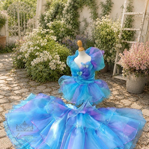 予約(海外ハンドメイド)【№B08569】シンデレラ・オーロラロングドレス グラデーショ オーガンジーロングドレス(2way)