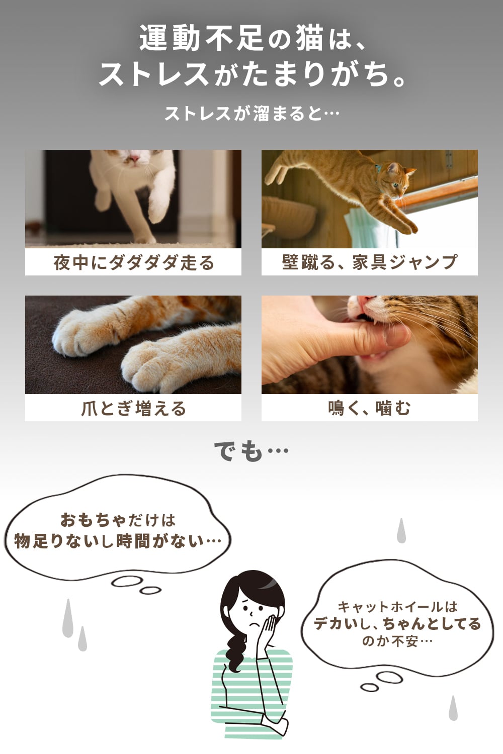 キャットホイール | MRG JAPAN Direct