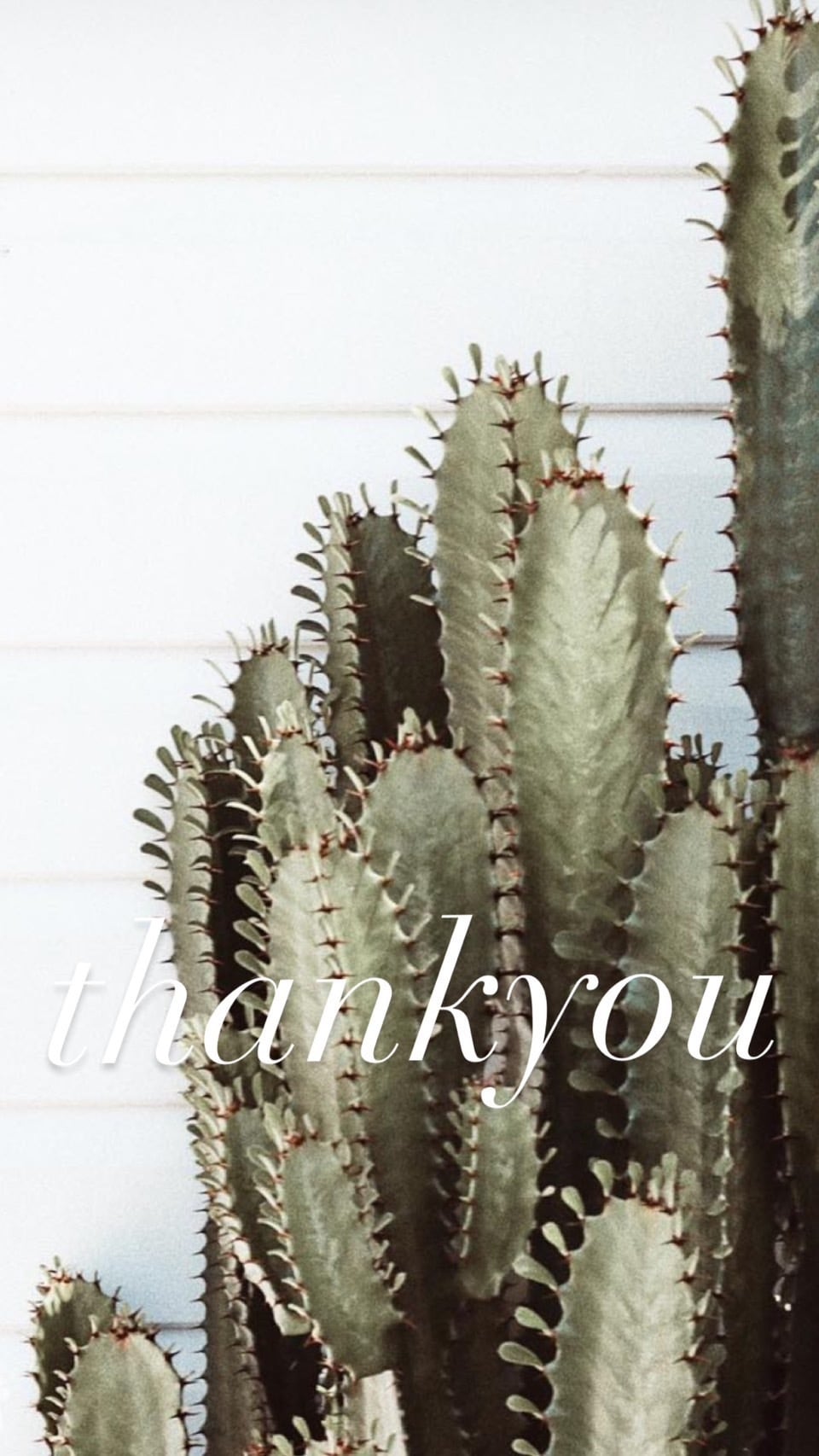 ZU様専用カート トップス | セレクトショップSENBA