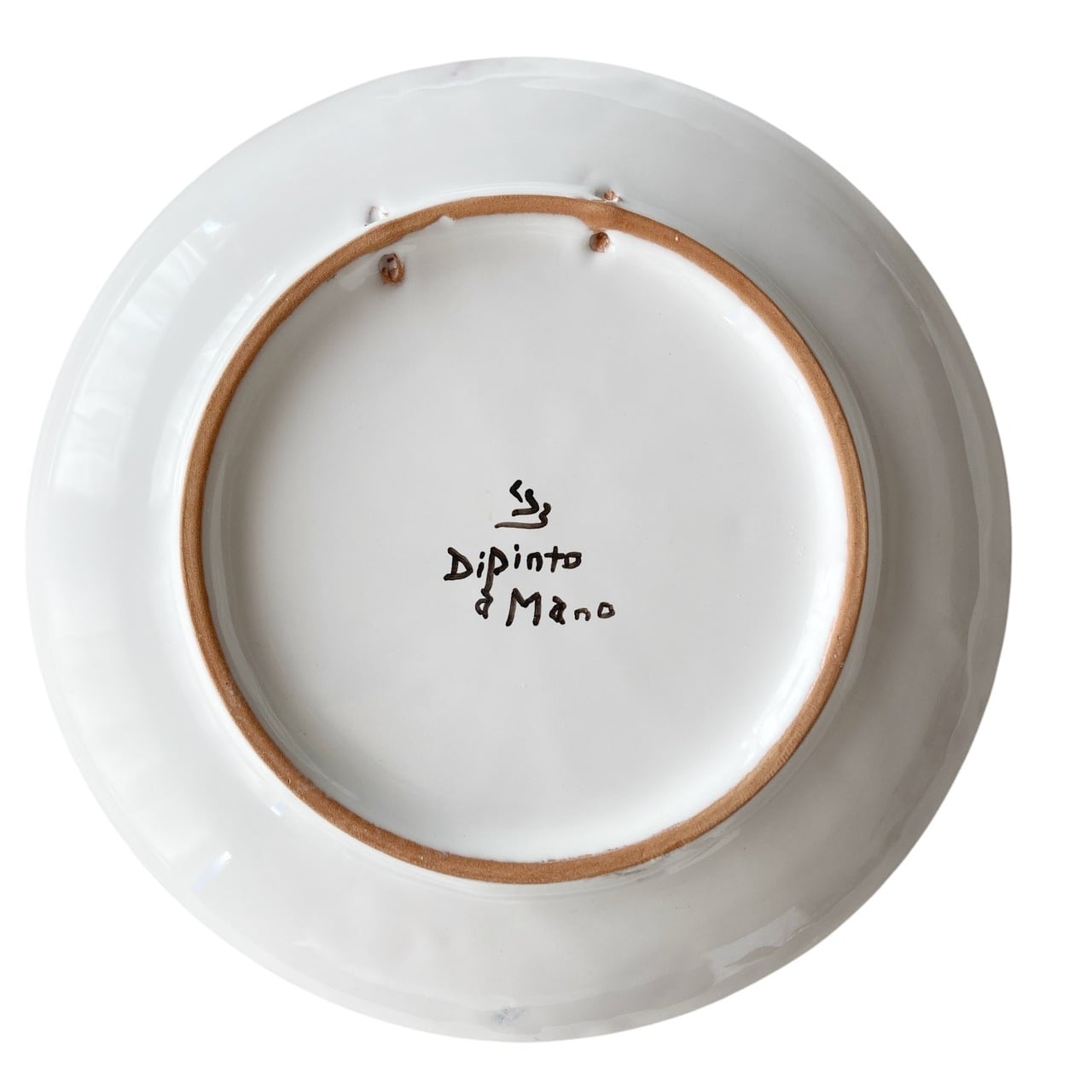 絵皿(M) 20cm CRC033 マヨリカ焼き タツノオトシゴ イタリア陶器
