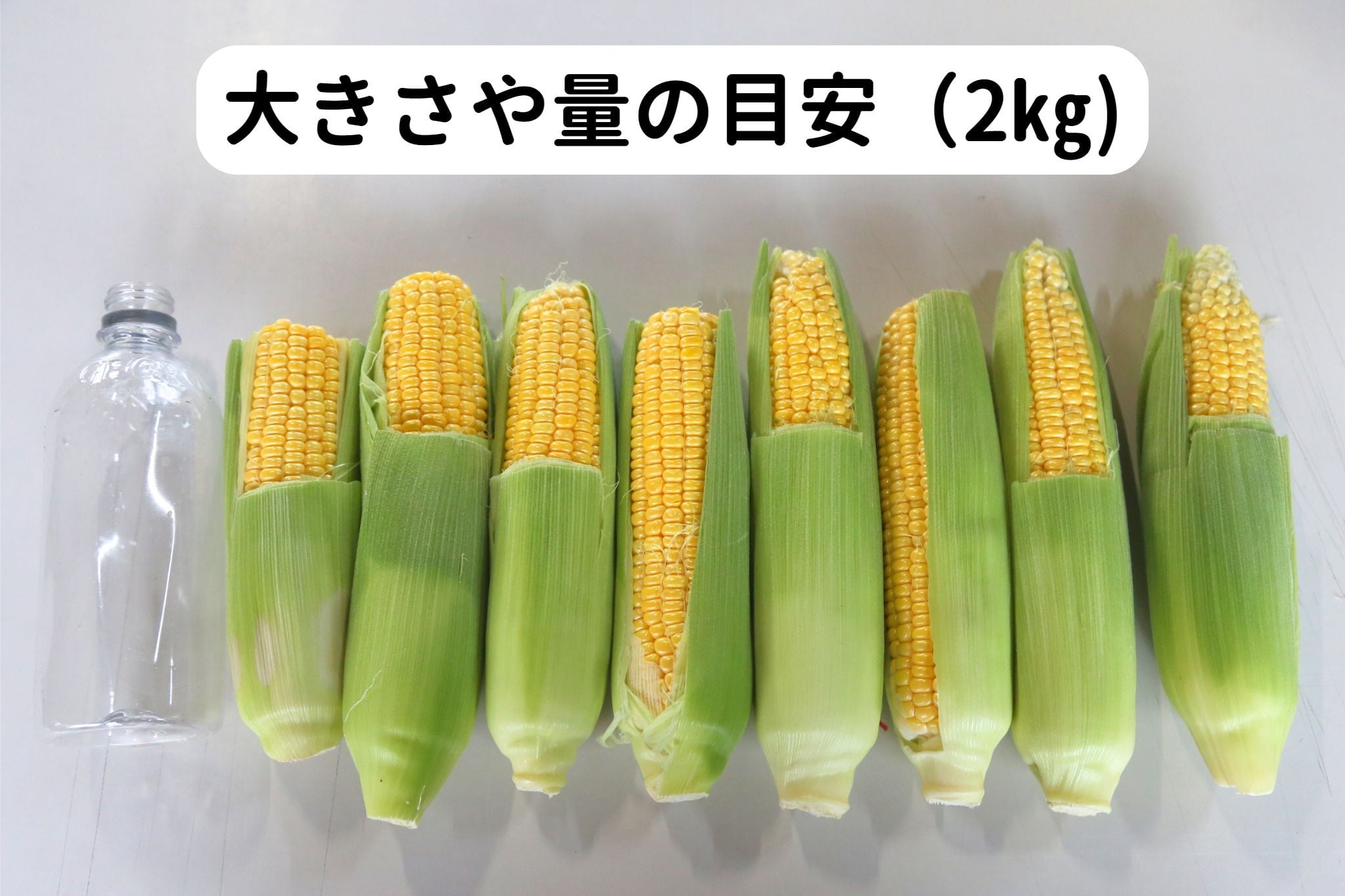 【朝どれ】訳ありゴールドラッシュ2㎏