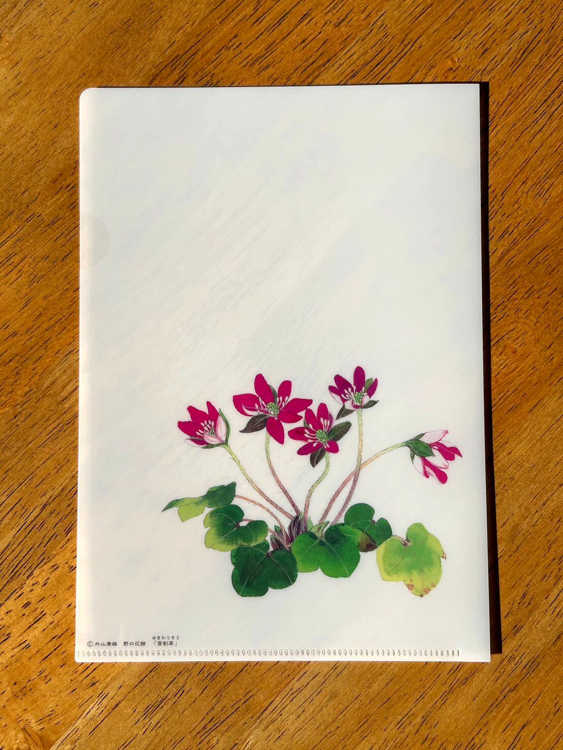 外山康雄  版画　その②  沈丁花 外山康雄 野の花館 オンラインショップ