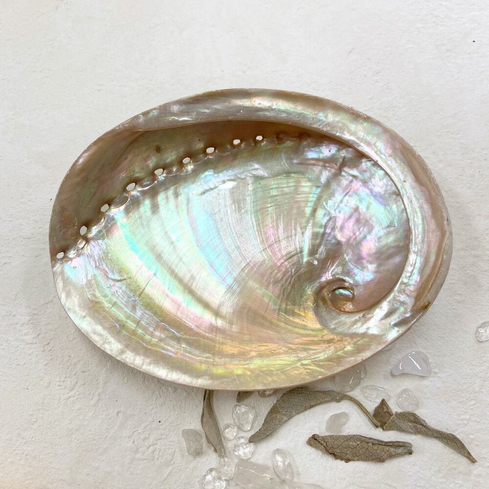 アバロンシェル 】 アイボリー プレート ミラー 天然 自然 貝殻 あわび