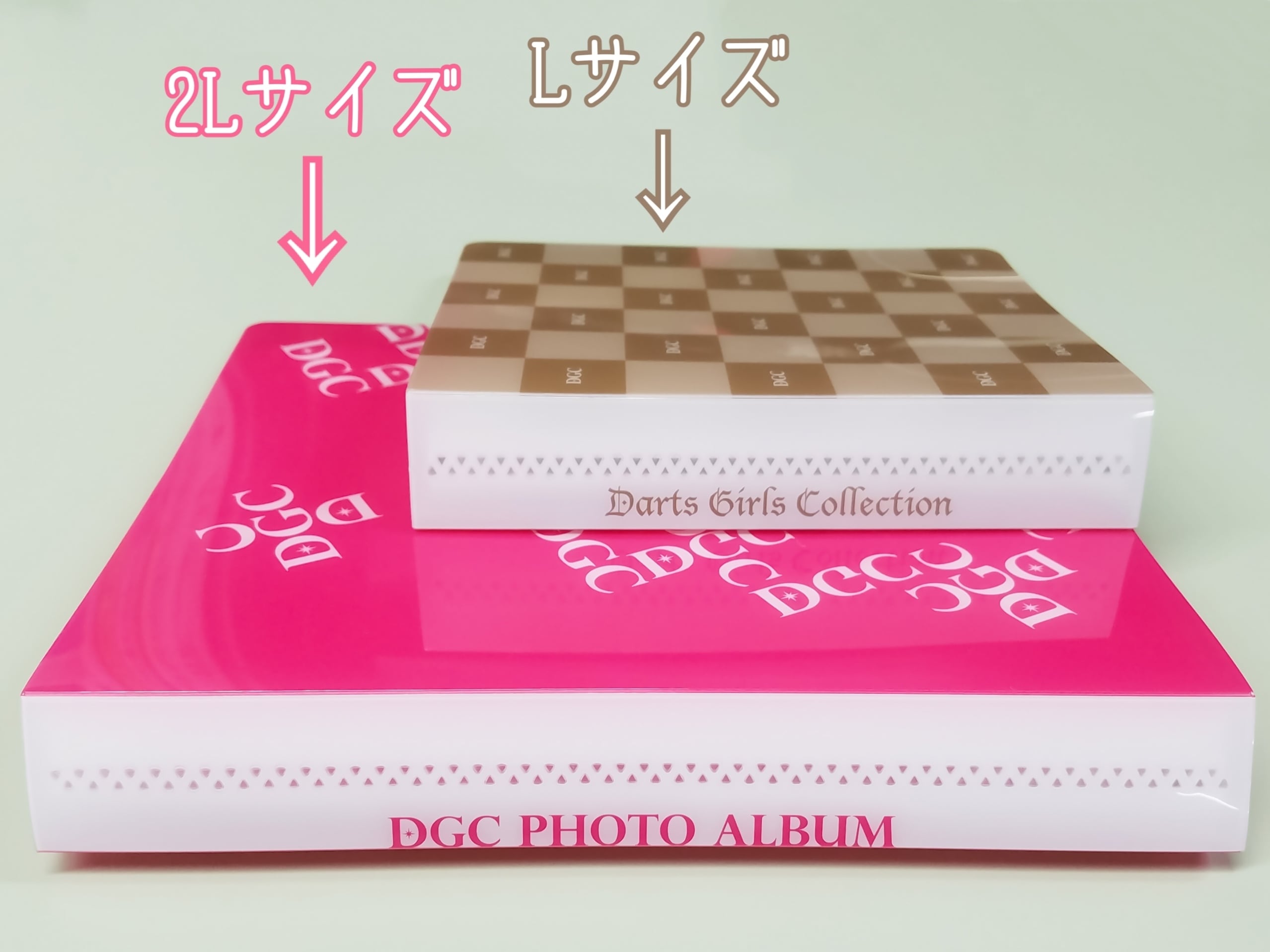 ダーツカード】武山郁子 No.08 | DGC！ダーツガールズコレクション