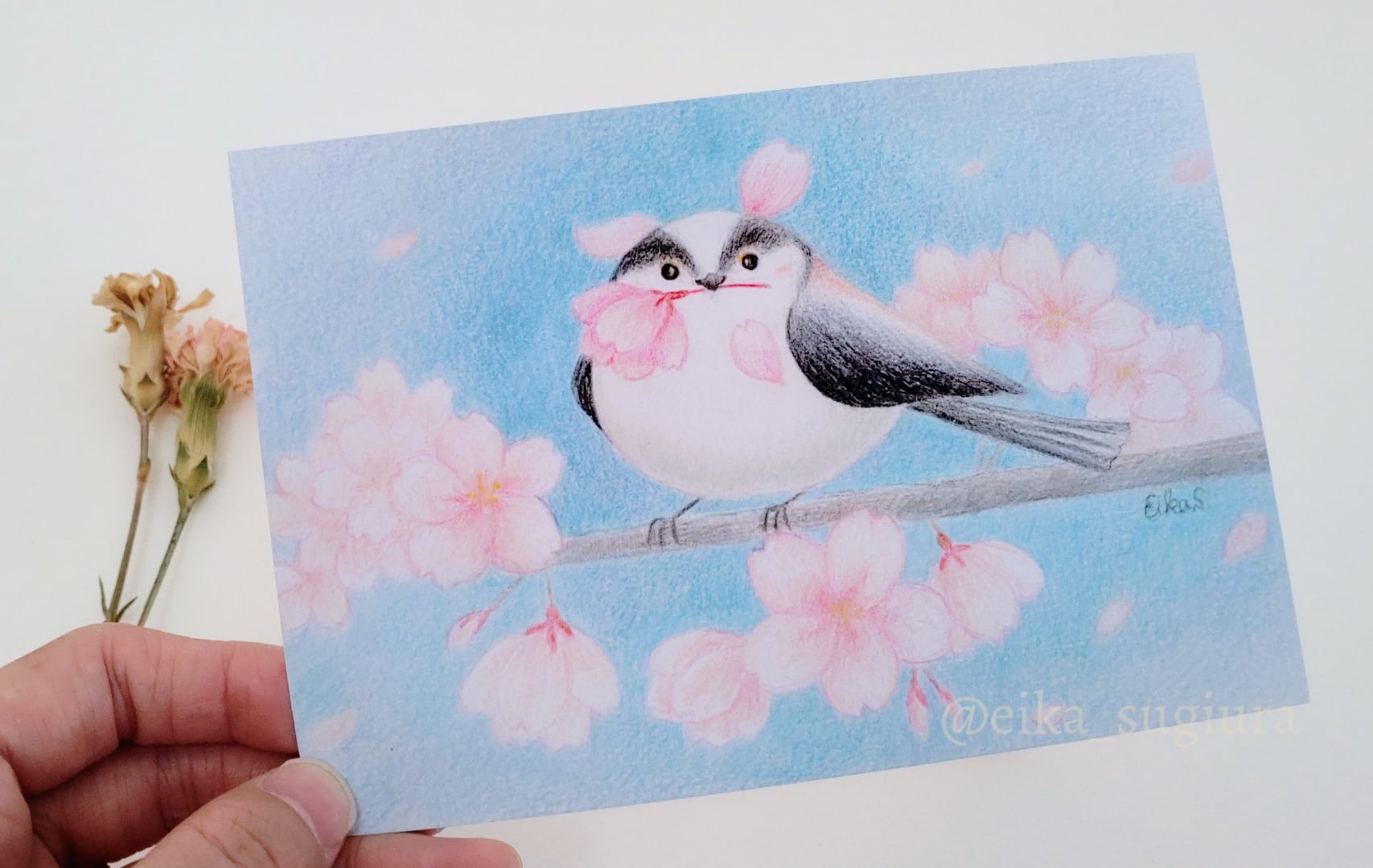 ポストカード「さくらまみれの エナガさん」 | 絵本作家 すぎうらえいか