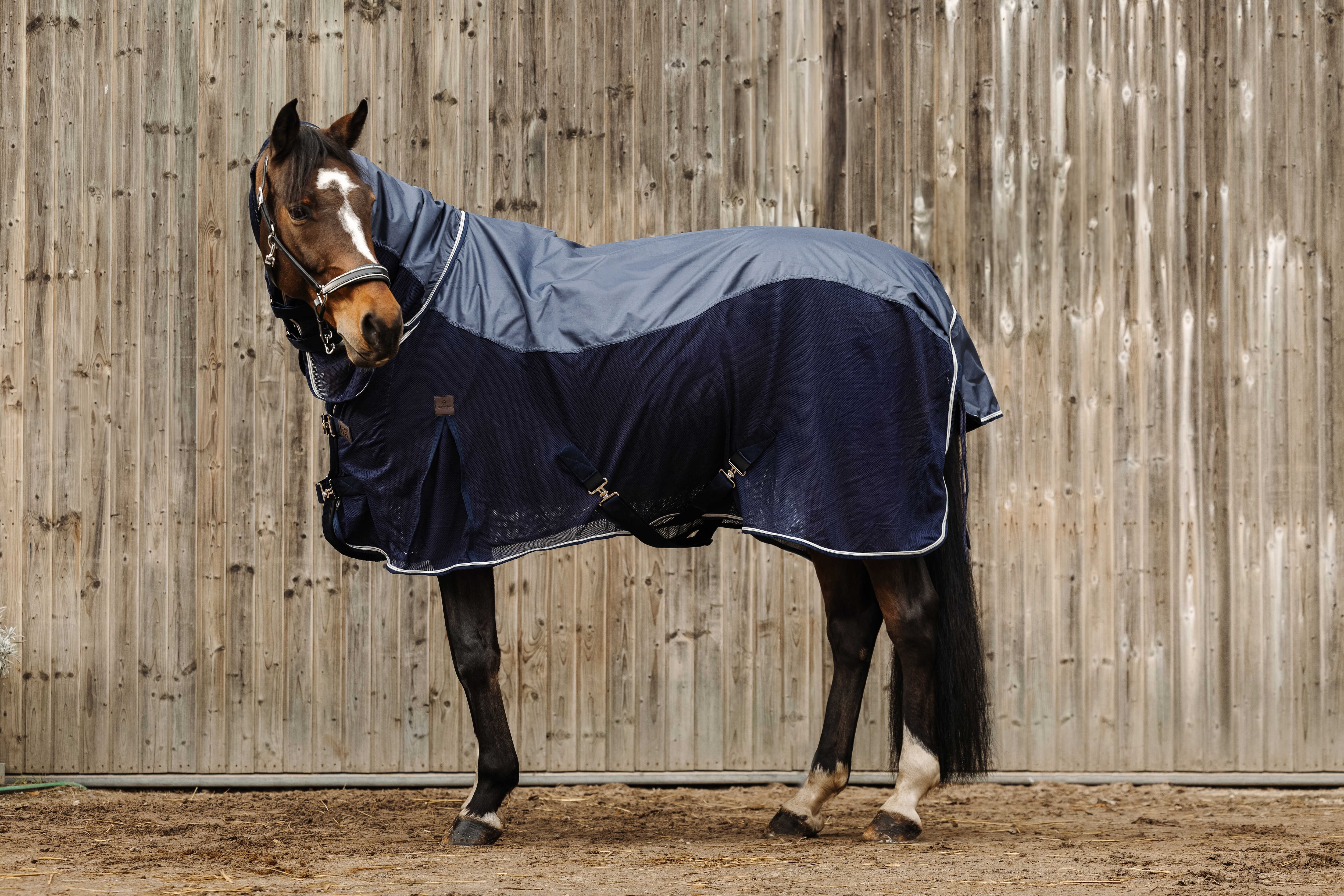 馬着・エクササイズシート | 馬具・乗馬用品 P-joux