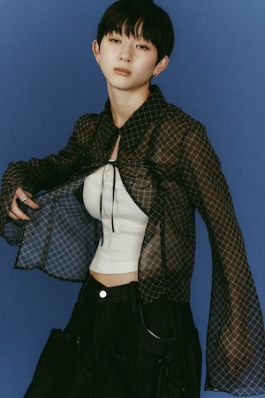 Sheer Collared Blouse / BLACK