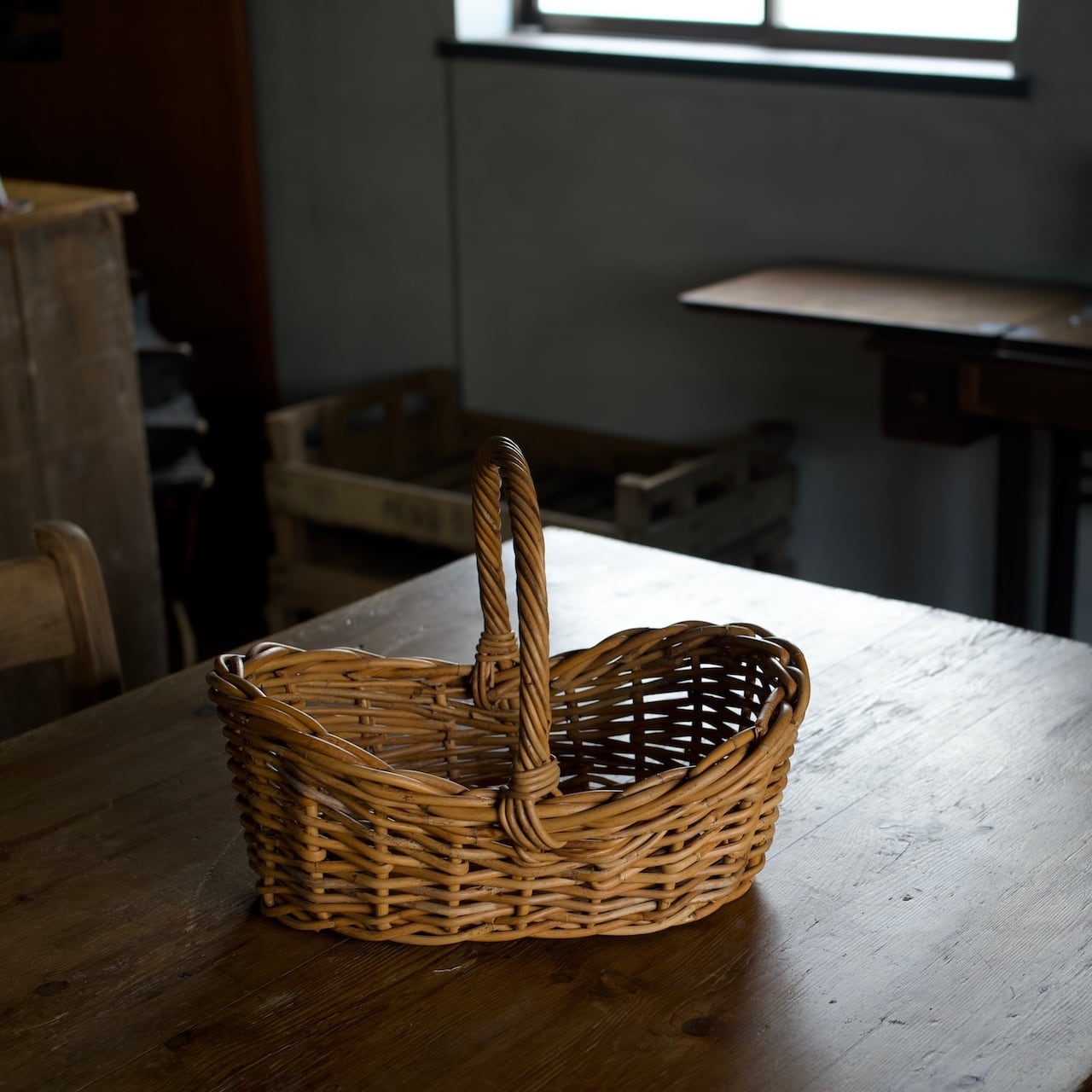 ボート バスケット L〈ラタン・籐・カゴ・収納・ディスプレイ