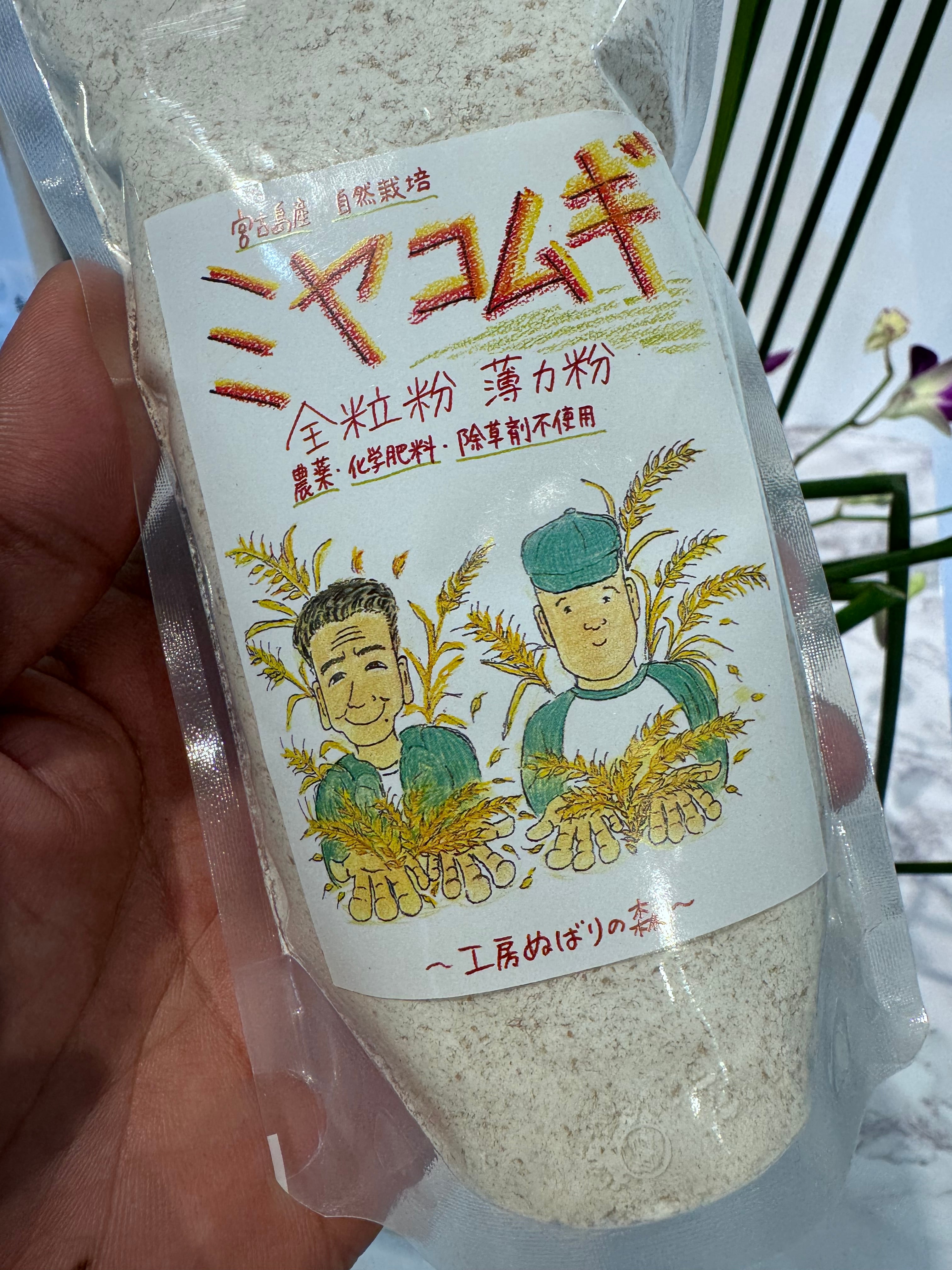 こむぎ粉ちゃん ミヤコムギ（宮古島産小麦粉） | nubarinomori
