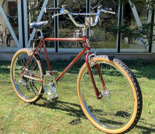 1983 Schwinn Sidewinder