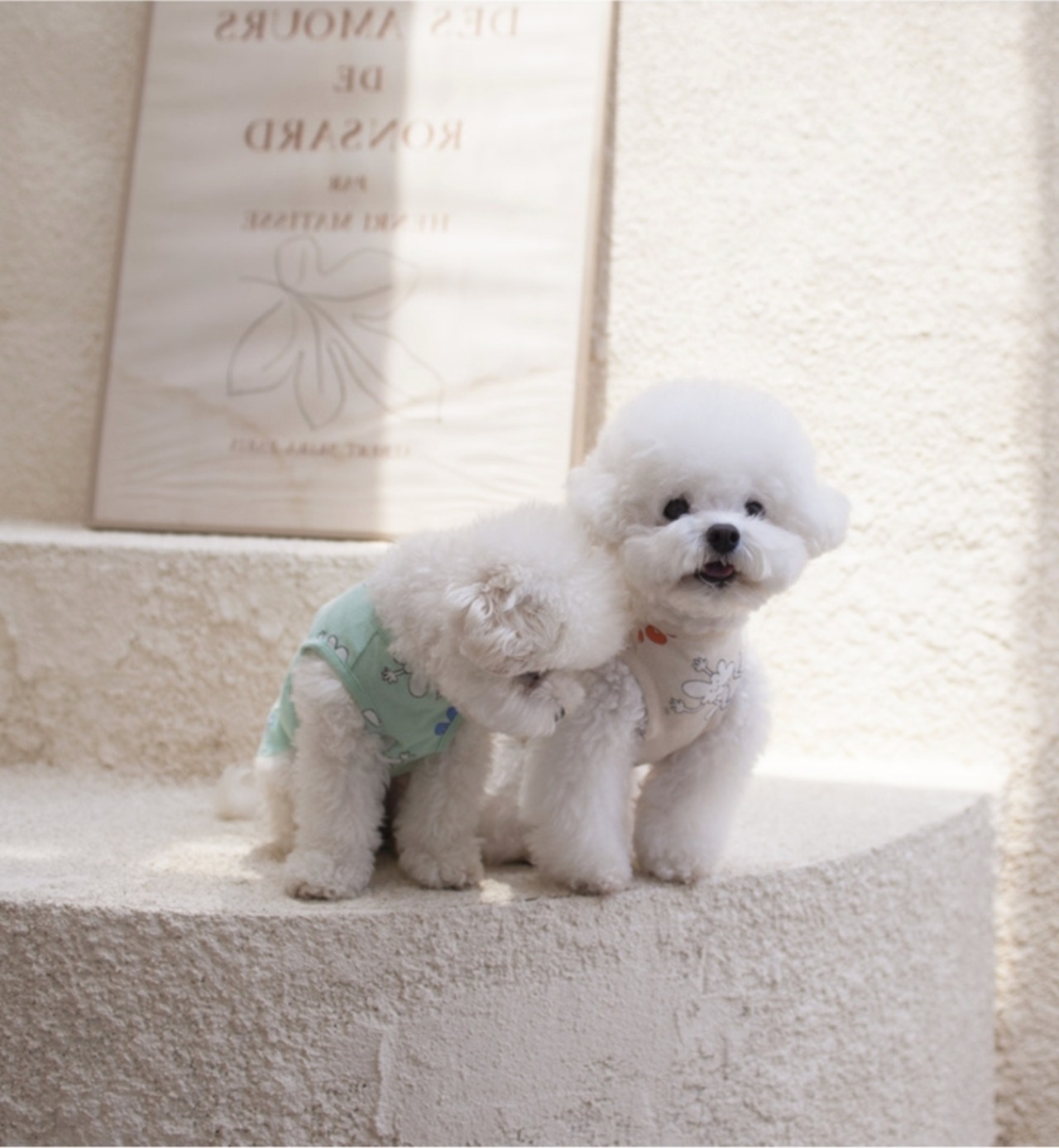 予約【coco chien】Chichi T-shirt (mint)