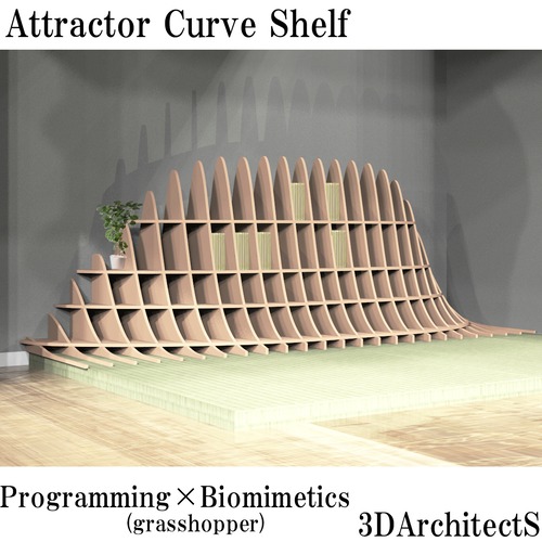 Attractor Curve Shelf