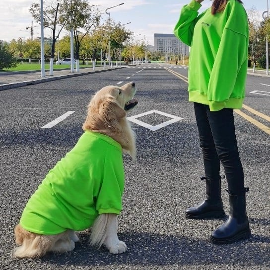 大型犬○ おそろいコーデセット! あったかグリーントレーナー