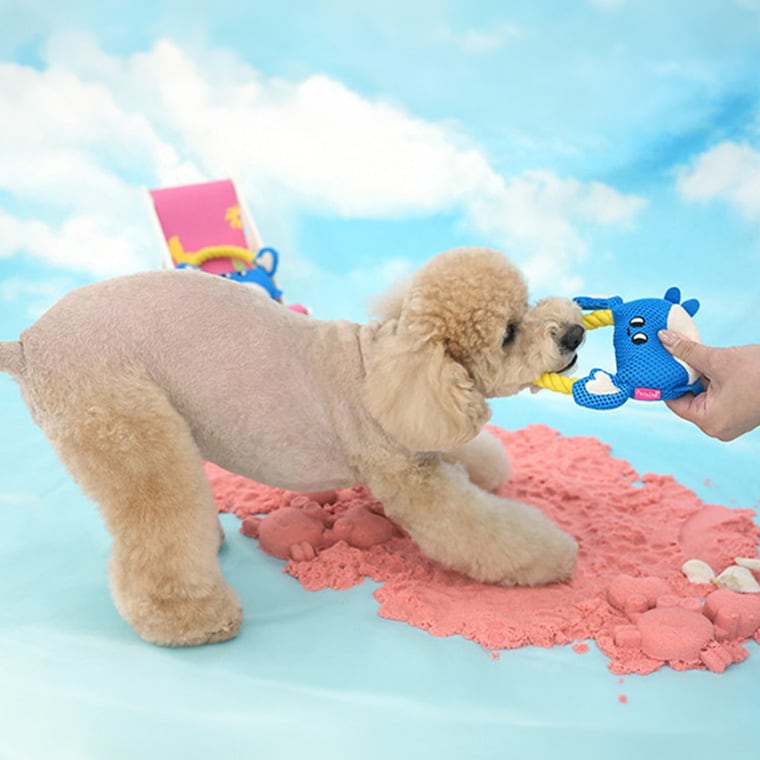 crap mash rope toy 2color / 犬 おもちゃ 音が鳴る ロープ 噛む 鳴き笛入り キャッチ トイ 可愛い 犬用おもちゃ ストレス解消 遊び 留守 韓国 ペット用品 小型犬 中型犬