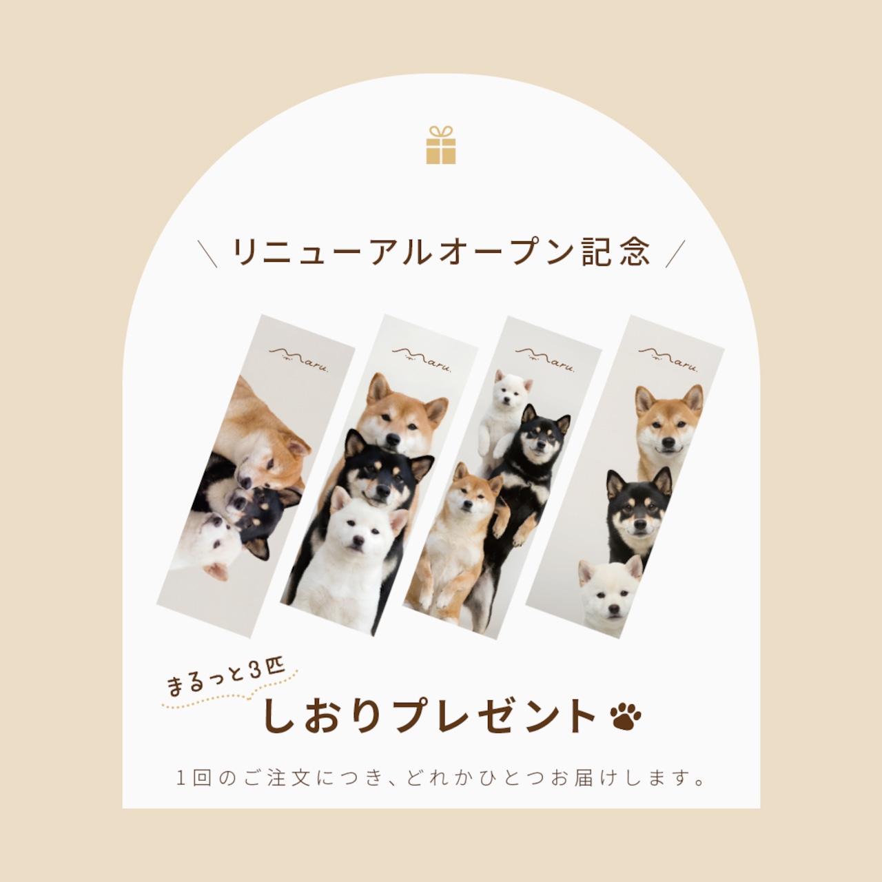 無添加素材のドライフード（ホース）