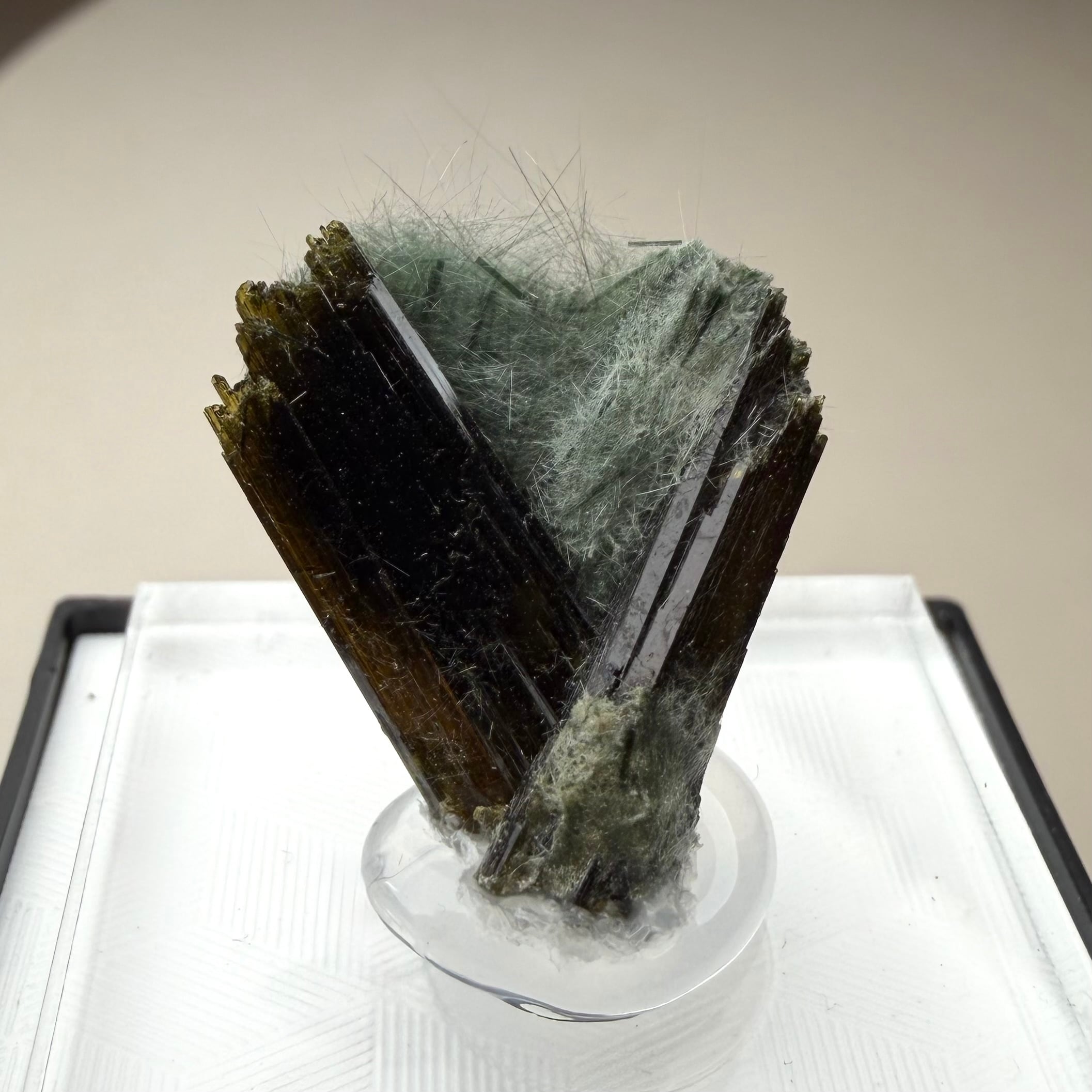 エピドート / ビソライト【Epidote with Byssolite】オーストリア産