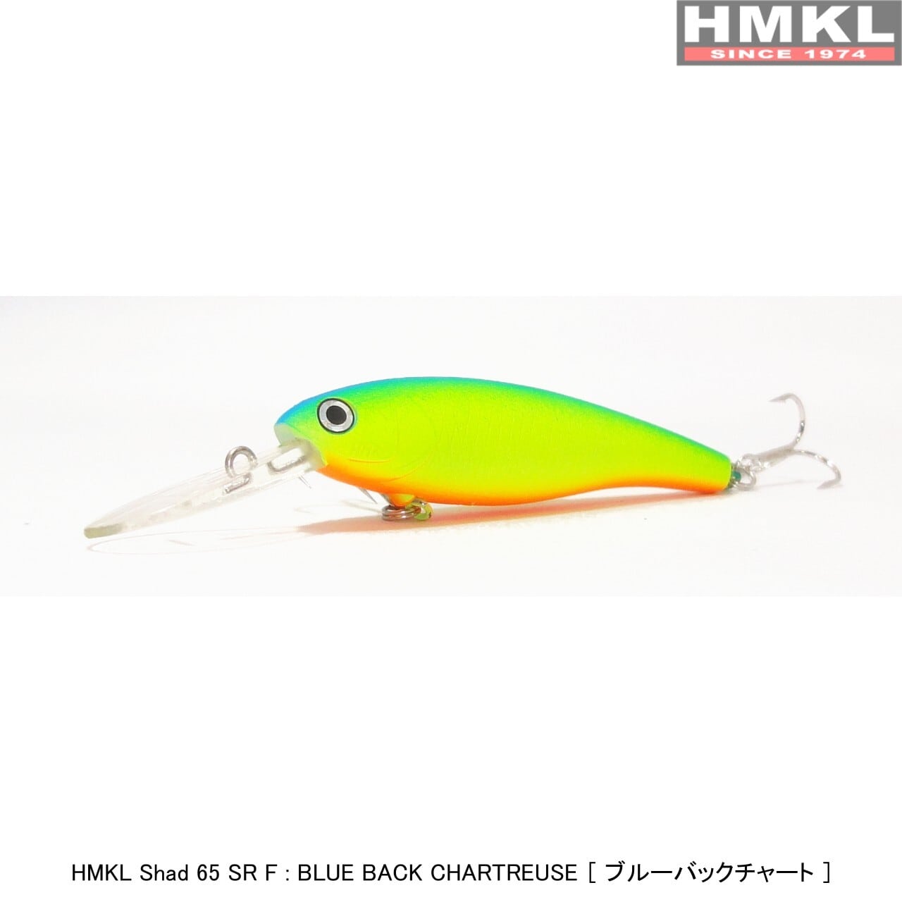 Shad 65 SR F | HMKL ONLINE SHOP ハンクルオンラインショップ