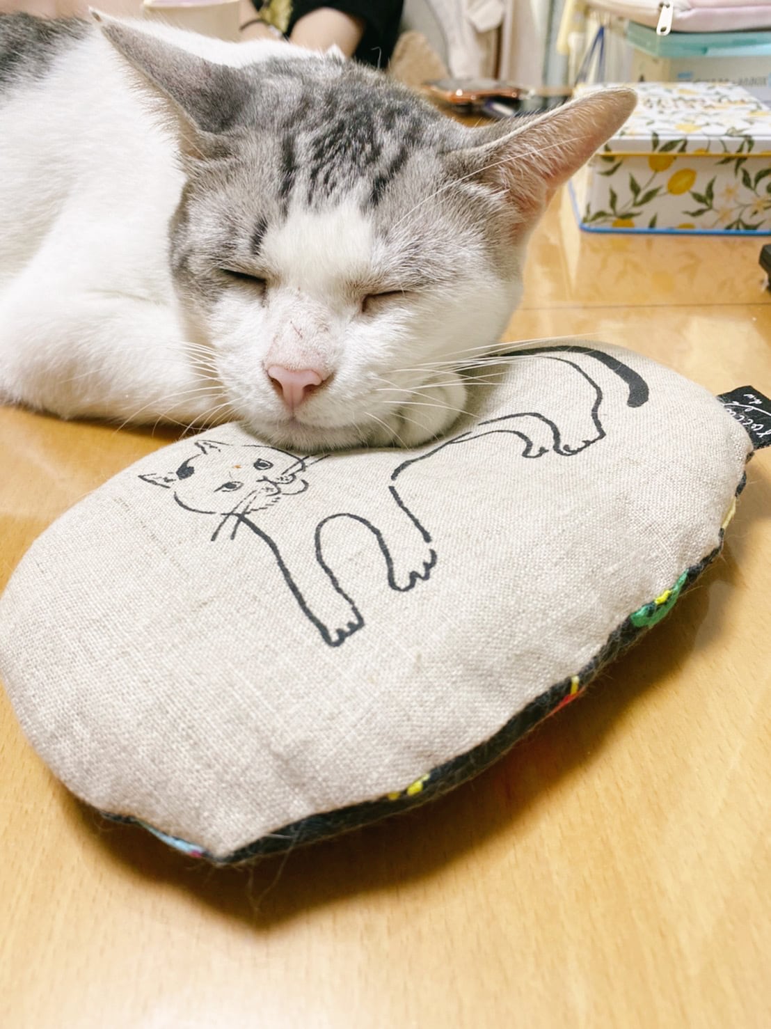 ミノッティクッション 0xKen様専用 Online Collection | ミノッティ