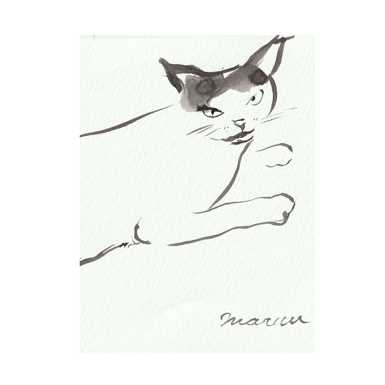 送料無料 「猫の絵no.143」 原画 フレーム付き 墨絵(アート作品 送料無料 「猫の絵no.143」 原画 フレーム付き 墨絵(アート作品