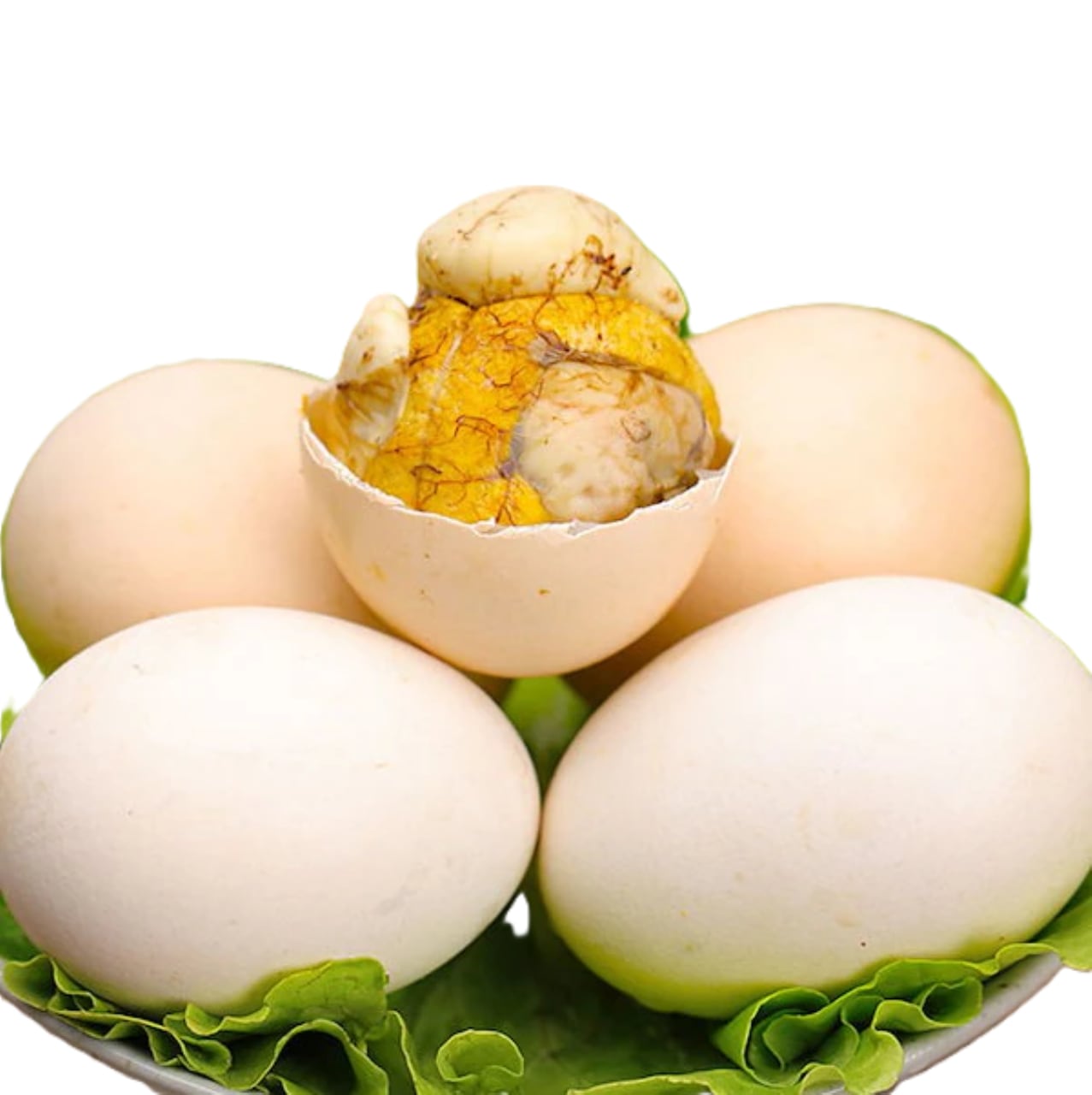 balut 【バロット】