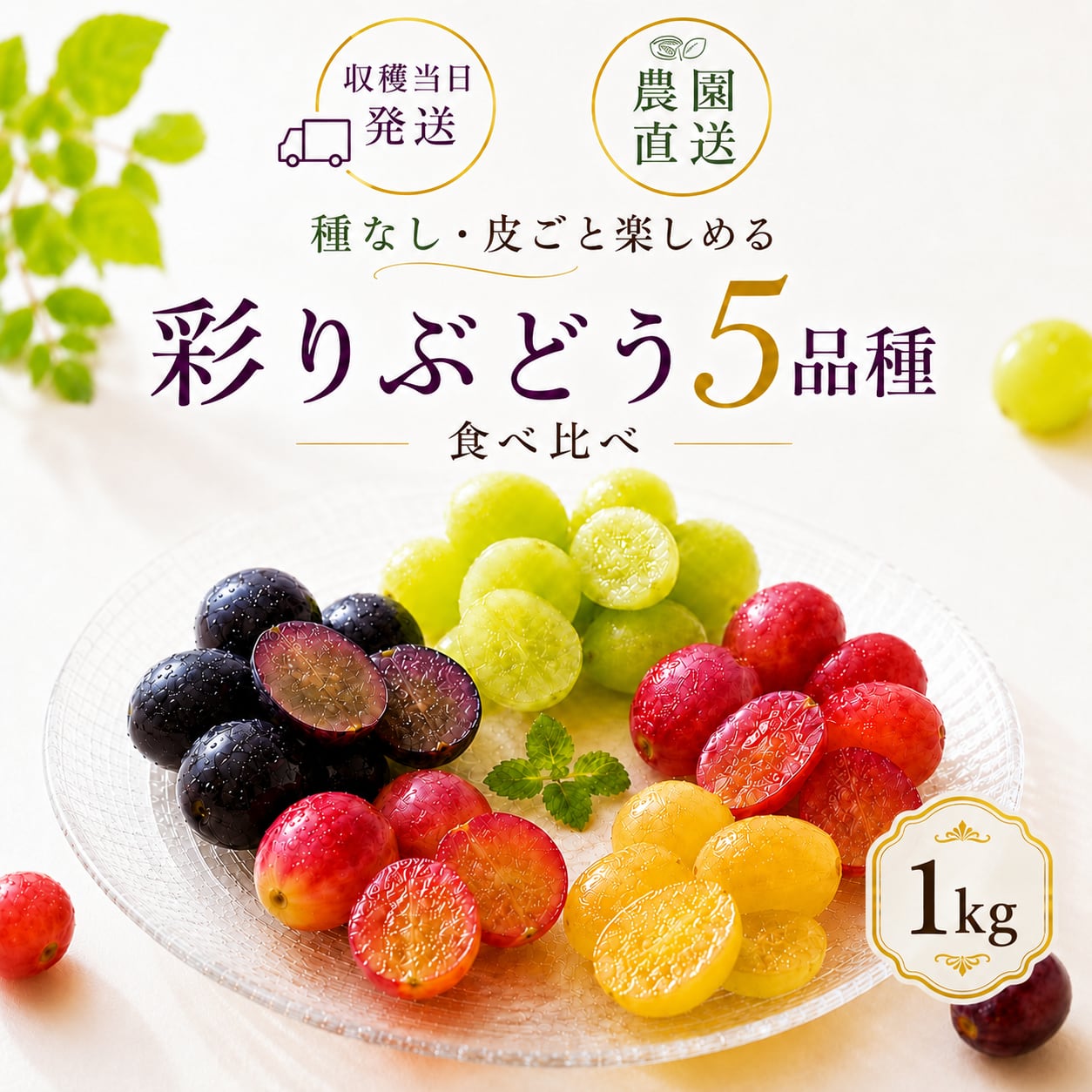 皮ごと食べられる！】種なしぶどう粒の詰め合わせ「ぶどうのビーズ
