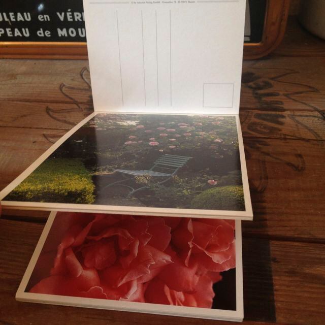 Rosen 30 Postkartenバラのポストカードセット | .usagi