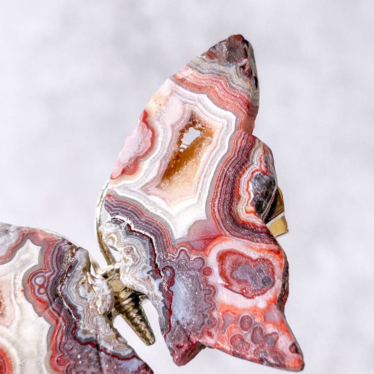 メキシカンクレイジーレースアゲート 蝶々 クリップ