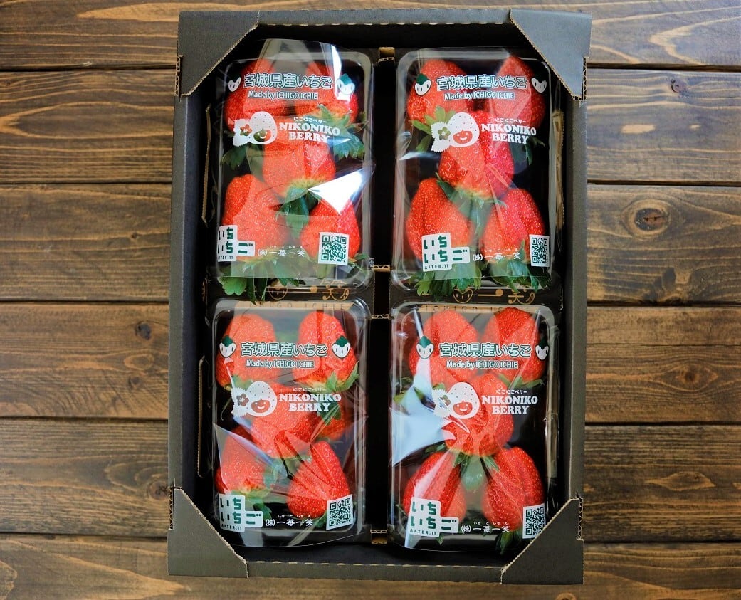 送料無料】ご自宅用いちご 4パック入り | ichiichigo