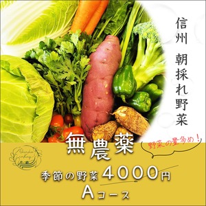 無農薬　季節の野菜4000円【Aコース】