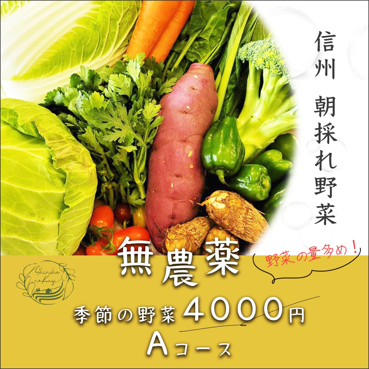 無農薬　季節の野菜4000円【Aコース】　信州の風