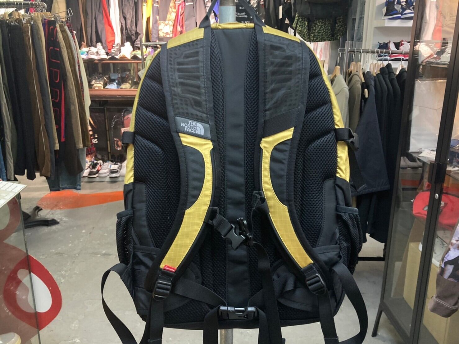 シュプノース Metallic Borealis Backpack