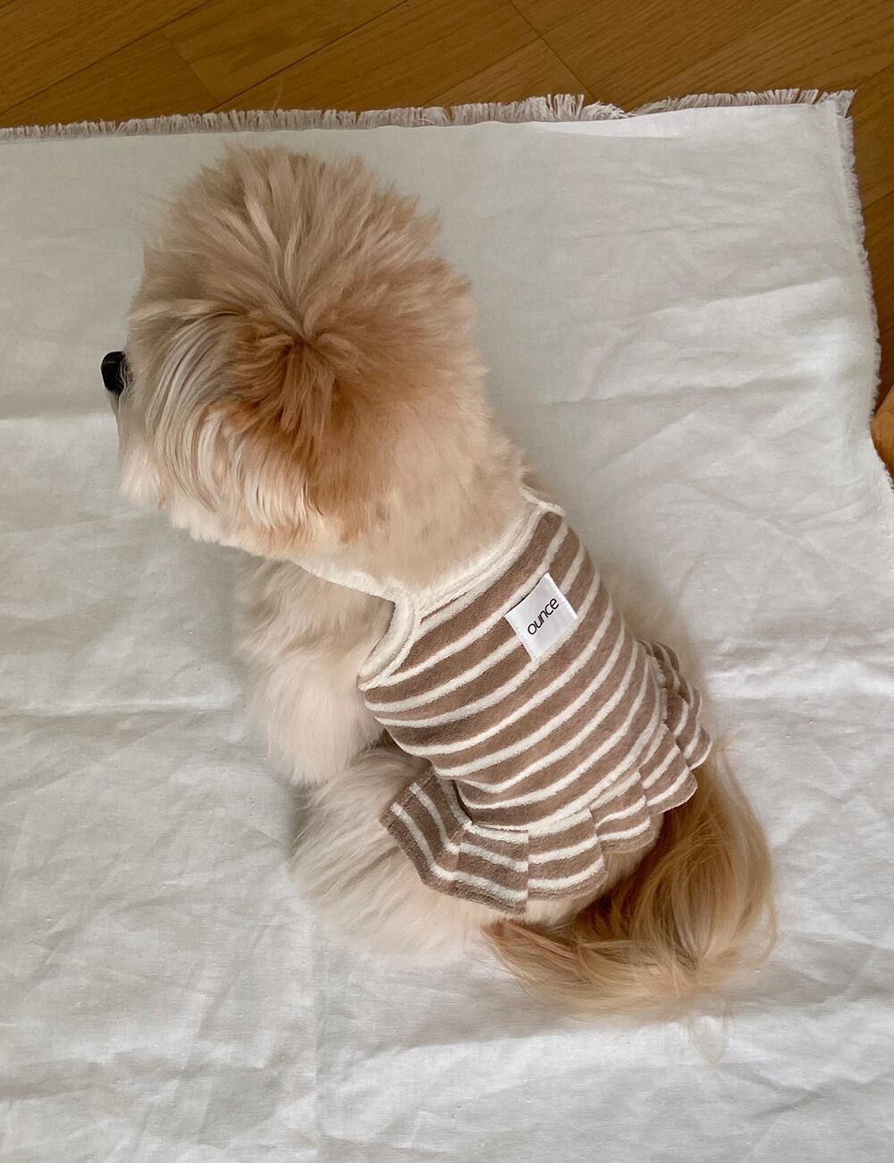 予約【ounce】Terry stripe frill crop top (Beige)